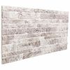 vidaXL Panele ścienne 10 szt. 100 x 50 cm Jasnoszary i biały.