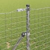 Miniatura produktu 3 z 6