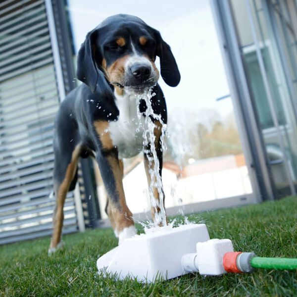 Kerbl Poidło dla zwierzaka Bubble, 25,5x18x8 cm, biało-niebieskie