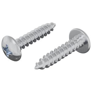 vidaXL Wkręty Drewniane 2 szt. srebrny M4 x 20 mm Stal