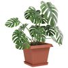 Miniatura produktu 3 z 10