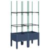Blue_grey