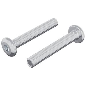 vidaXL Śruba Zablokowująca Gładki 2 pcs Srebrny M6 x 35 mm Stal