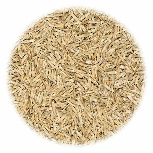 vidaXL Nasiona trawy boiskowej, 30 kg