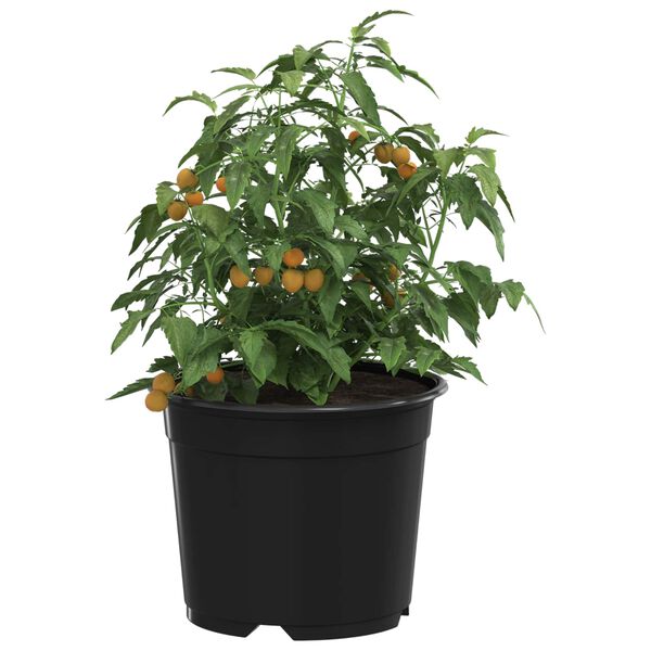 Wyświetlanie zdjęcia produktu 3 z 11