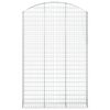 vidaXL Łukowaty kosz gabionowy 150x30x220/240 cm, galwanizowane żelazo