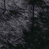 vidaXL Dywan shaggy z długim włosiem, NAVARRA, czarny, 200x200 cm