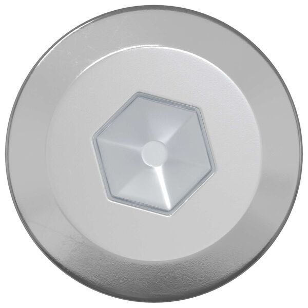 vidaXL Wkręty Drewniane 12 pcs Srebrny M6 x 70 mm Stal