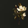 Miniatura produktu 7 z 10