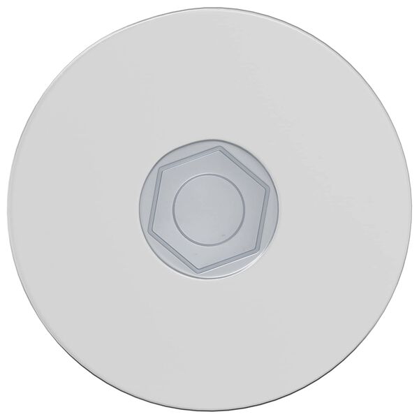 vidaXL Śruba 2 pcs Powlekana cynkiem 5 x 40 mm Żelazo