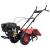 vidaXL Kultywator spalinowy, 6,5 HP, 196 cm3