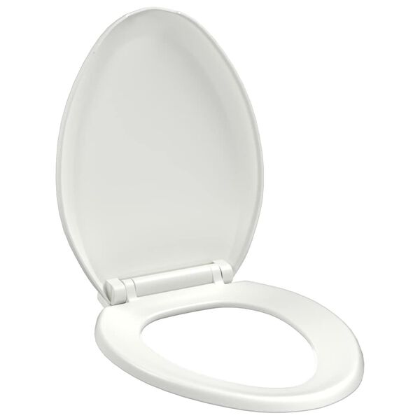Wyświetlanie zdjęcia produktu 1 z 12