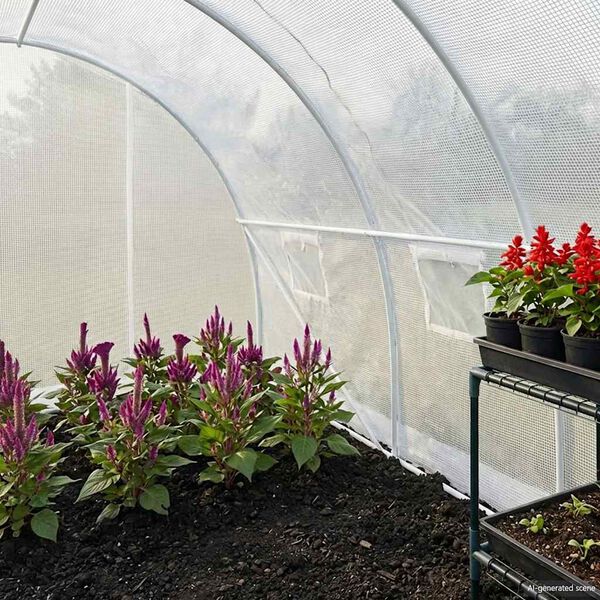 Wyświetlanie zdjęcia produktu 2 z 12