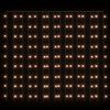 vidaXL Bajkowa zasłona świetlna, 3x3m, 300 LED, ciepła biel, 8 funkcji