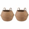 vidaXL Doniczka z uchwytami 2 pcs naturalny &Oslash; 45 x 36 cm