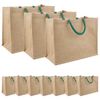 vidaXL Torebki jutowe 10 Naturalny i zielony 42 x 33 x 19 cm