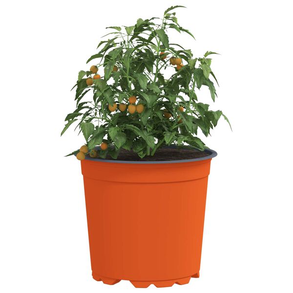 Wyświetlanie zdjęcia produktu 3 z 11