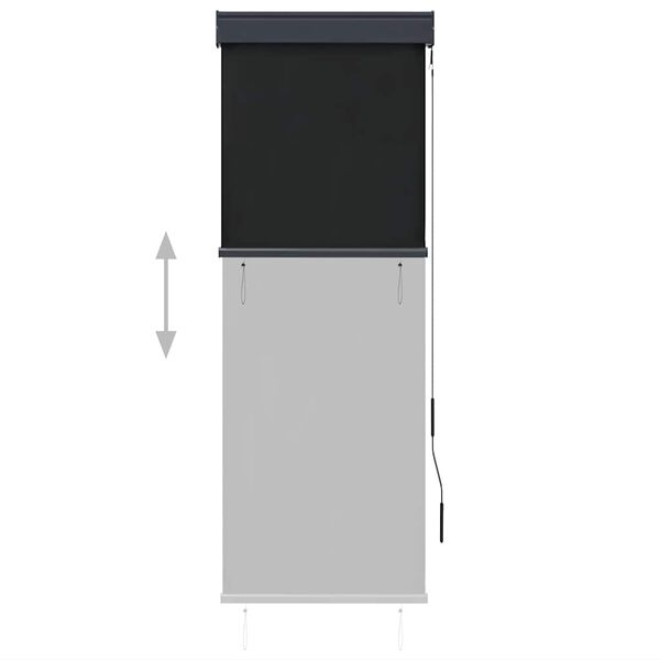 vidaXL Roleta zewnętrzna, 60x250 cm, antracytowa