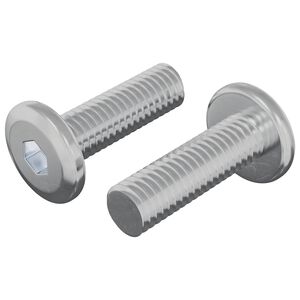 vidaXL Śruba 2 pcs Srebrny 8 x 25 mm Stal