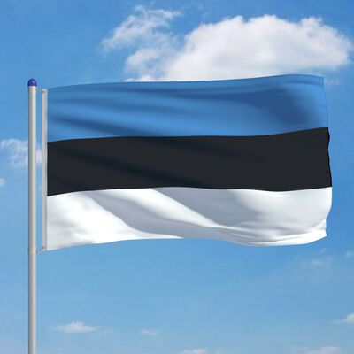 vidaXL Flaga Estonii z aluminiowym masztem, 6 m