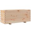 Natural_pine