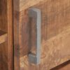 vidaXL Szafka pod TV, 120x30x40 cm, surowe drewno mango
