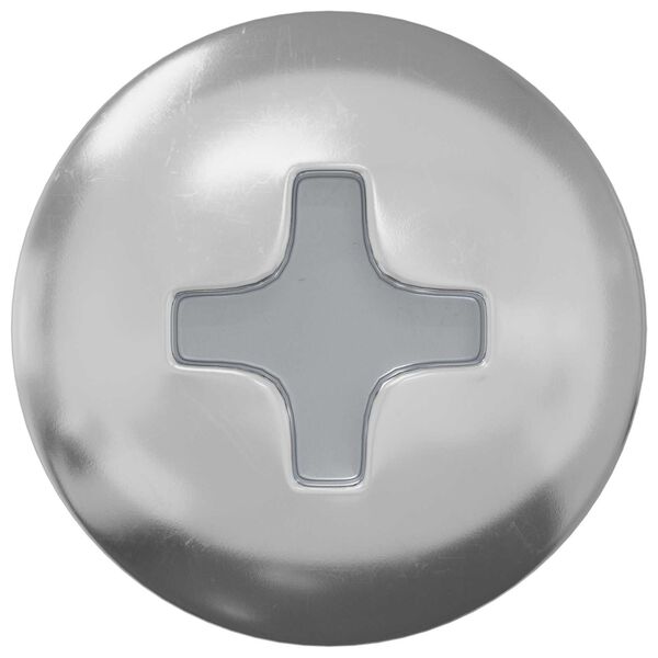 vidaXL Wsuwany gw&oacute;źdź 2 pcs Powlekana cynkiem 4 x 20 mm Stal