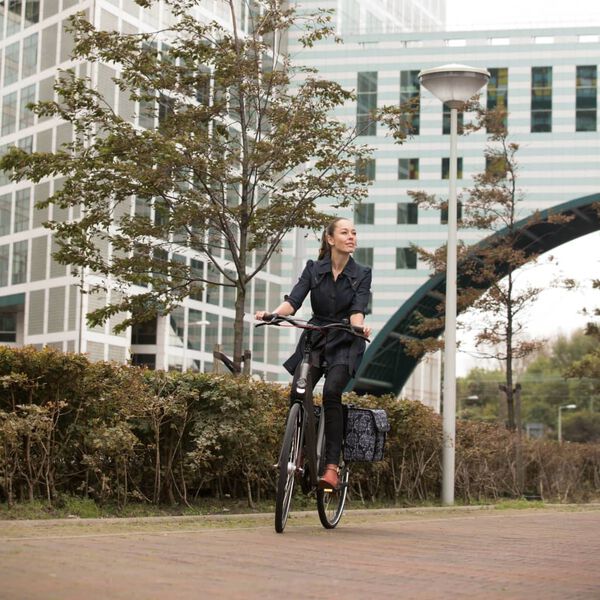 Willex Torby rowerowe Fantasy Trees, 36 l, czarny i brązowy, 13961