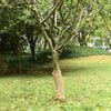Miniatura produktu 2 z 7