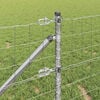 Miniatura produktu 5 z 17