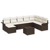 Brown_and_white