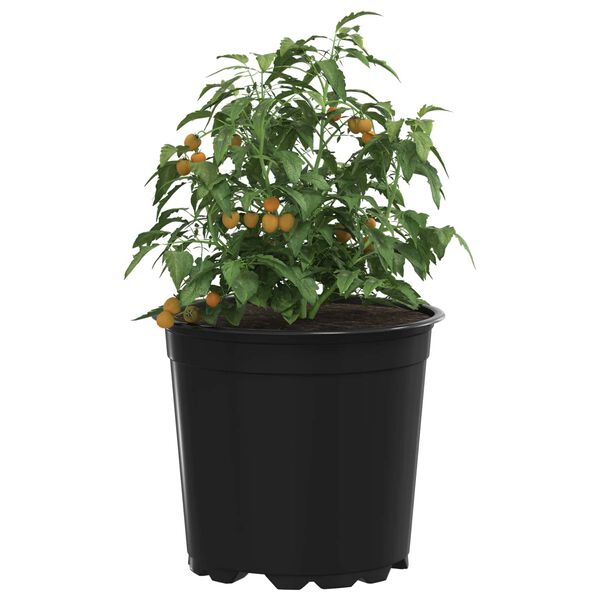 Wyświetlanie zdjęcia produktu 3 z 11