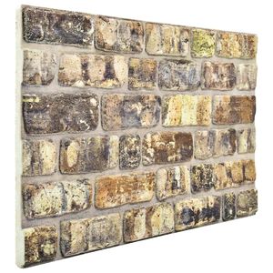 vidaXL Panele ścienne 10 pcs Wielokolorowe 100 x 50 cm Pianka EPS