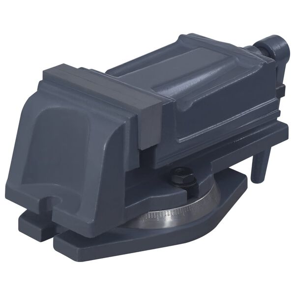 vidaXL Obrotowe imadło, żeliwo, 100 mm