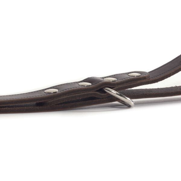 Beeztees Smycz treningowa, brązowa sk&oacute;ra, 200x1,2 cm 736401
