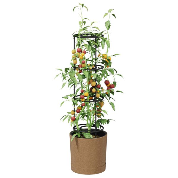 Wyświetlanie zdjęcia produktu 3 z 6