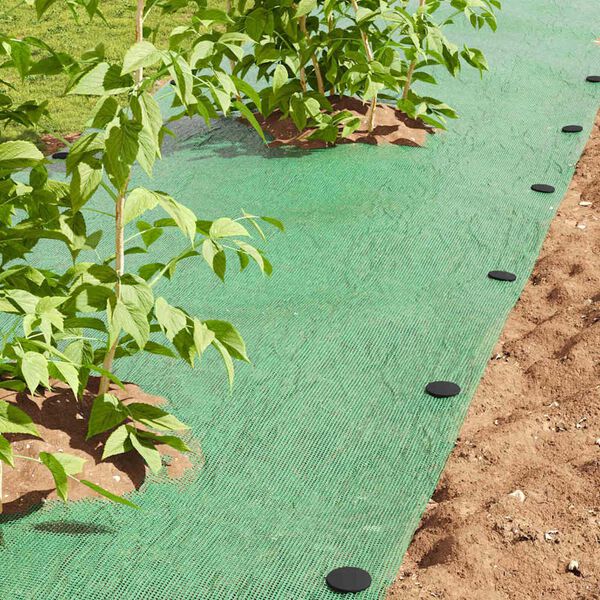 vidaXL Plastikowe kołki 100 pcs Czarny &Oslash;3 x 11 cm