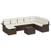 Brown_and_white