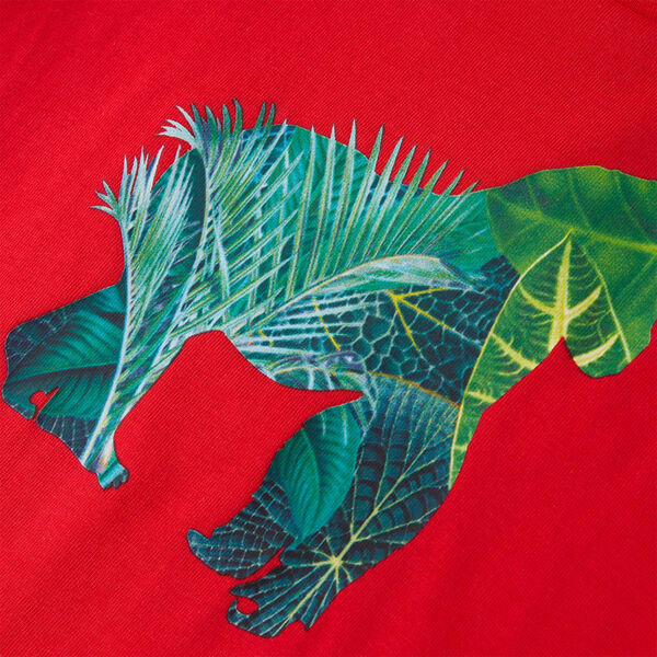 Koszulka dziecięca z krótkimi rękawami, czerwona, 128