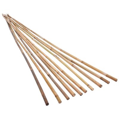 vidaXL Tyczki bambusowe do ogrodu, 50 szt., 150 cm