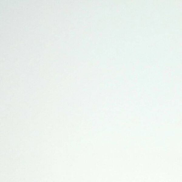 DUTCH WALLCOVERINGS Flizelina renowacyjna, biała