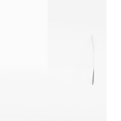 vidaXL Szafka pod telewizor, wysoki połysk, biała, 102x30x37,5 cm