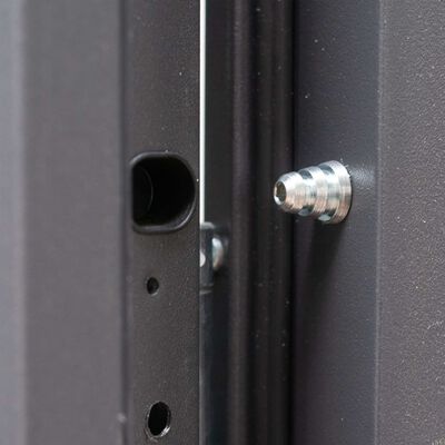 vidaXL Aluminiowe drzwi zewnętrzne, antracytowe, 100 x 200 cm