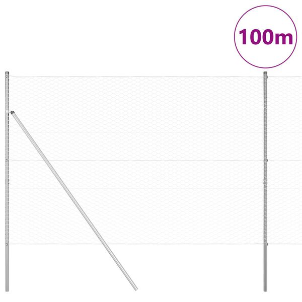 vidaXL Słupek ogrodzeniowy. Srebrny 100 x 1,6 m (siatka 36 mm) Stal