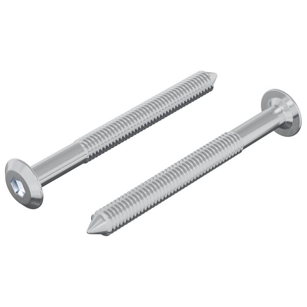 vidaXL Śruba 2 pcs Srebrny M6 x 60 mm Stal