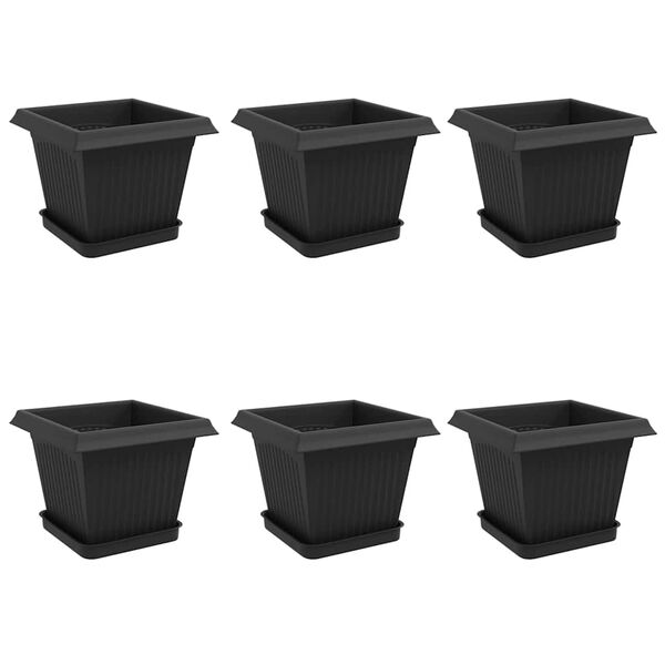 Wyświetlanie zdjęcia produktu 1 z 12