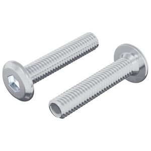 vidaXL Śruba Zablokowująca Gładki 2 pcs Srebrny M6 x 30 mm Stal