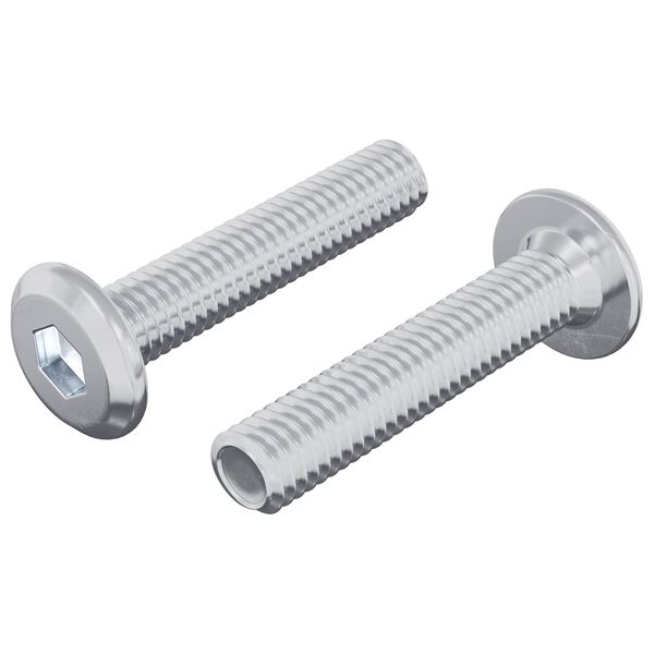vidaXL Śruba Zablokowująca Gładki 2 pcs Srebrny M6 x 30 mm Stal