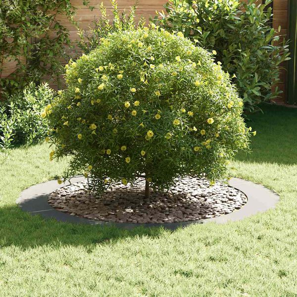 vidaXL odpowiedni dla płaskich pierścieni drzewa 5 pcs Srebrny