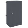 vidaXL skrzynka na listy z drzwiami Antracyt 30 x 20 x 55 cm Stal